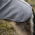 Uudistettu malli! FINNERO SPORT Softshell takki koiralle
