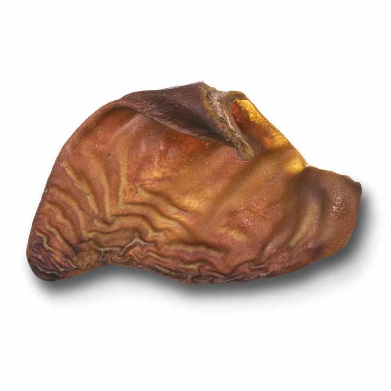 RAUH! Pork Ear - Kotimainen possunkorva