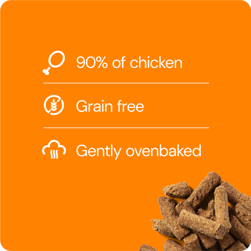 RAUH! Chicken Treat 100 g