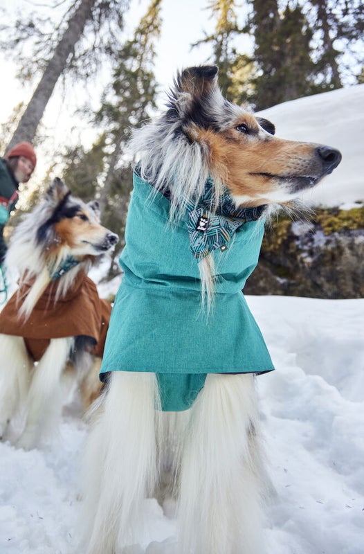 Hurtta Monsoon II Eco Sadetakki Riikinkukko