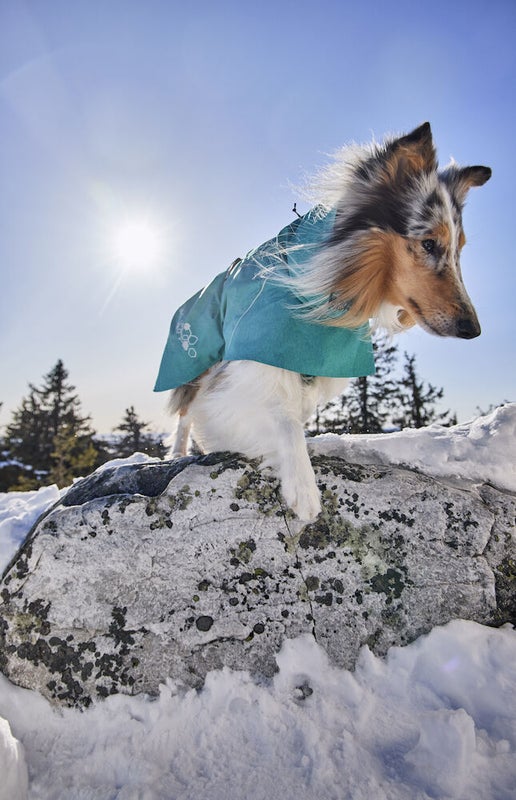 Hurtta Monsoon II Eco Sadetakki Riikinkukko